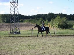 IMG_4186-001-redigeret